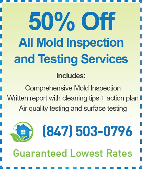 Information about Mold – Official Website of Arlington County