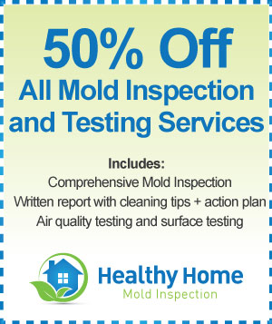 Mold Inspection Test