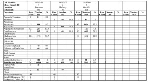 Mold Inspection Crystal Lake IL Report