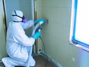 Mold Removal