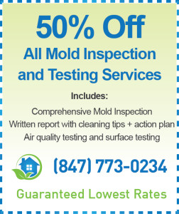 Elgin Mold Inspection Cost
