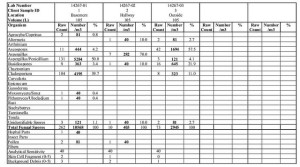 Mold Inspection Lab Report