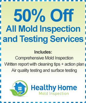 Mold Testing - Healthy Home