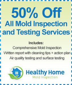 Mold Inspection Roselle IL