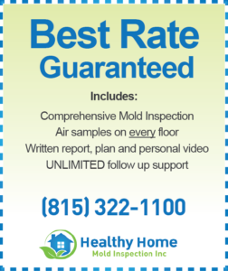 Mold Inspection Discount Coupon