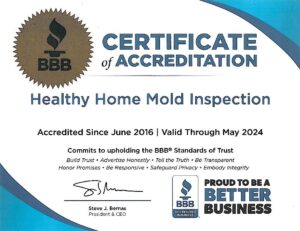 best mold inspection grayslake il