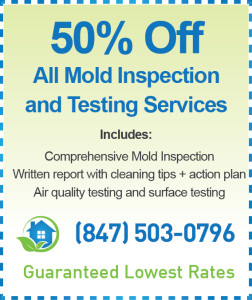 Arlington Heights Mold Inspection Cost
