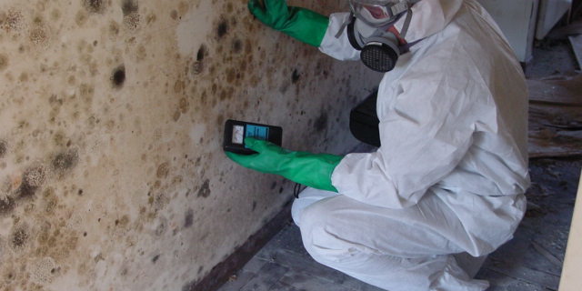 Mold Inspections Seal Beach California