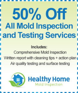 Mchenry IL Mold Inspection Cost