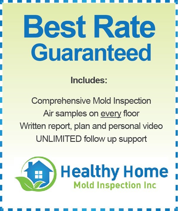 Healthy Home Mold Inspection Cost Best Rate Coupon