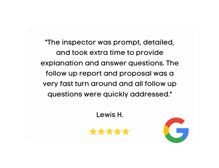 Home Mold Inspection Review Lewis H