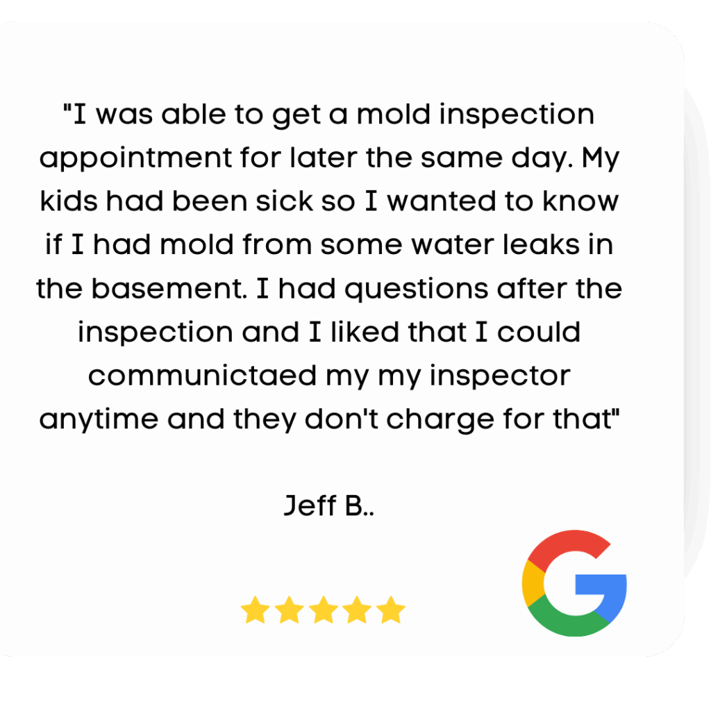 Mold Inspector Review Jeff B