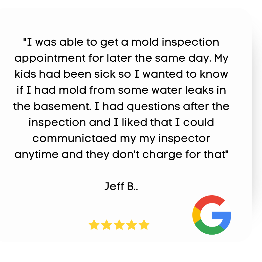 Mold Inspector Review Jeff B