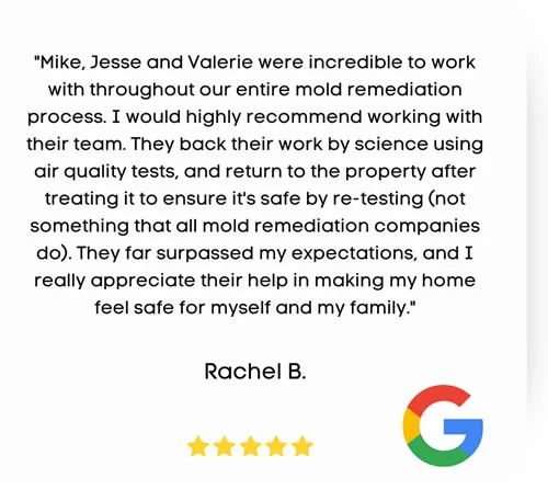 Rachel B Mold Removal Review