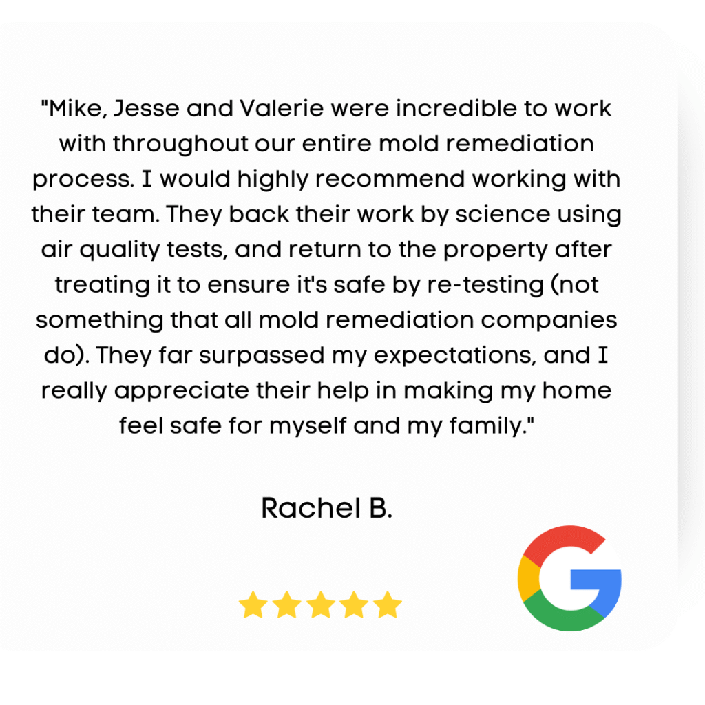 Rachel B Mold Remediation Review Round Lake IL
