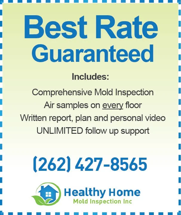 Mold Inspection Cost-WI