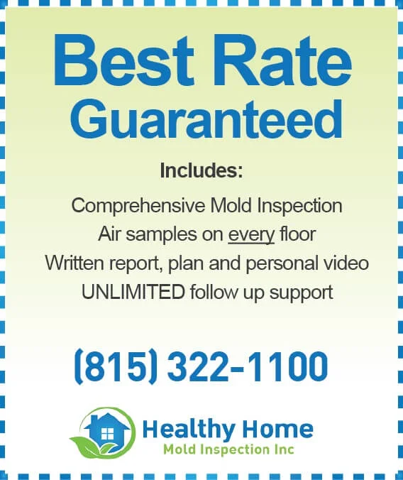 Mold Inspection Cost