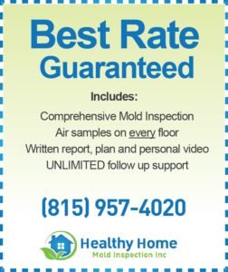 Mold Inspection Cost Belvidere IL