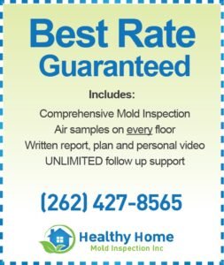 Mold Inspection Cost in Mukwonago WI