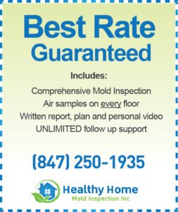 Mold Inspection Cost in Round Lake IL