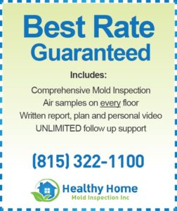 best home mold inspection cost island lake il